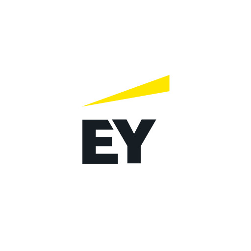 EY Case Competition project visual