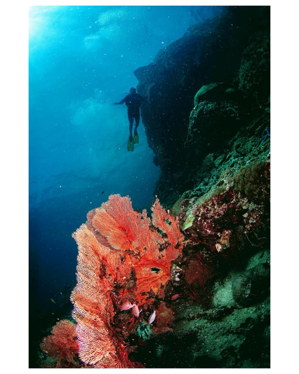 Scuba diving scene 2